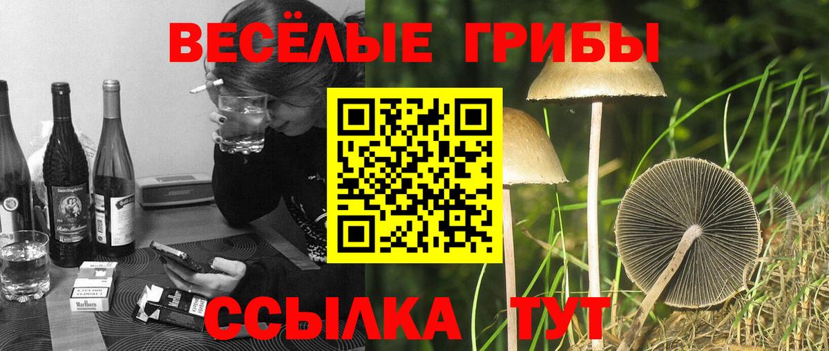 Псилоцибиновые грибы GOLDEN TEACHER  Вход с VPN  Донской 