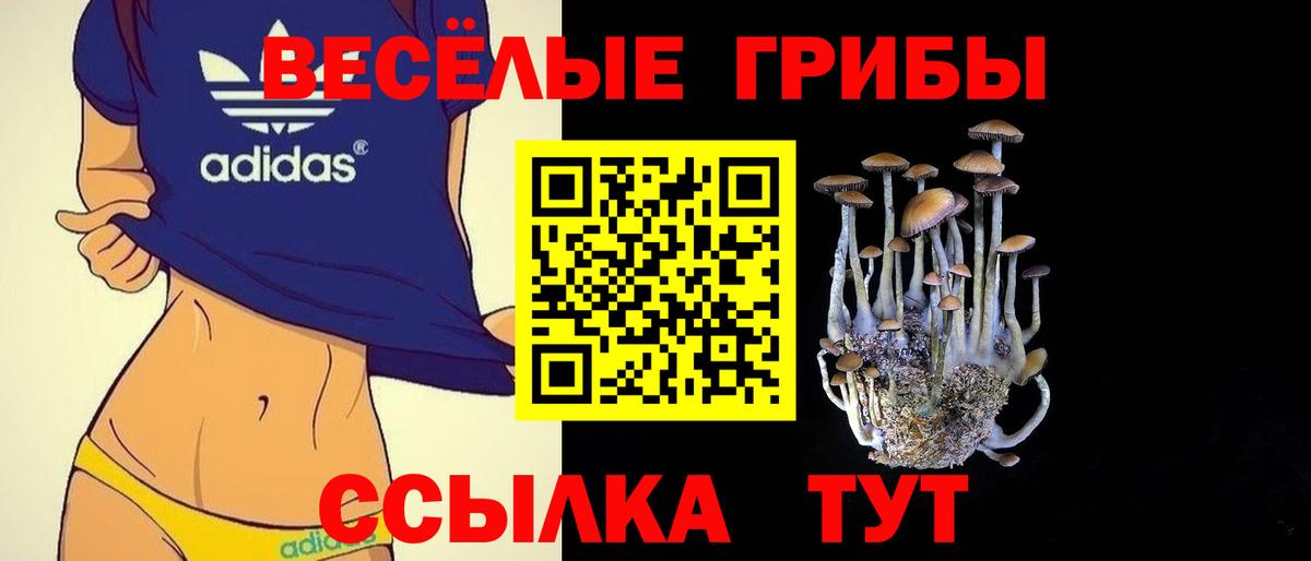 COCAIN Донской